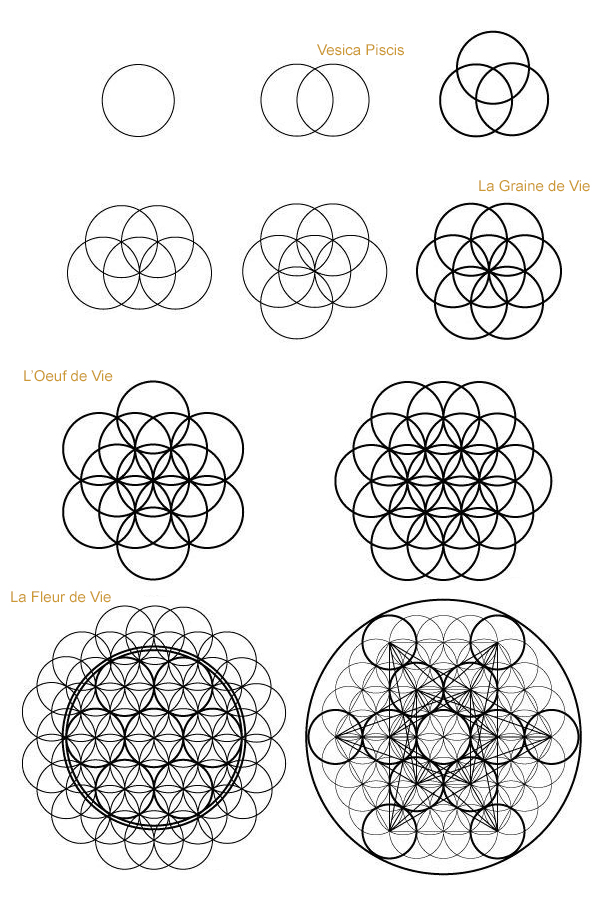 flower of life_drawing atelier NAO