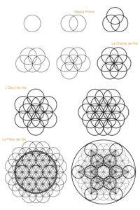 Halle Faverges marché Jacques Anglade Adela Ciurea structure bois local géomètrie sacrée fleur de vie flower of life vesica piscis